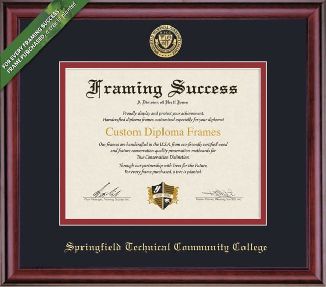 Framing Success Classic 8 x 10 Diploma with Double mat- ONLINE ONLY