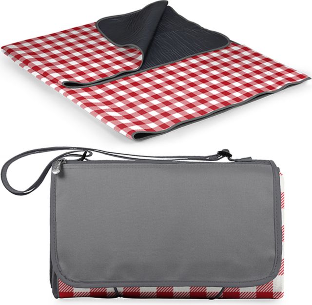 70 x 80 Outdoor Picnic Blanket Tote